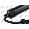 Amortisseurs - Moteur électrique, hayon pour Ford AE-FR-064