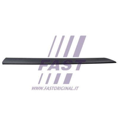 Baguette de protection latérale - Baguette et bande protectrice panneau latérale compatible pour Citroën Peugeot FT90804