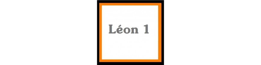 Leon jusqu'a 2005