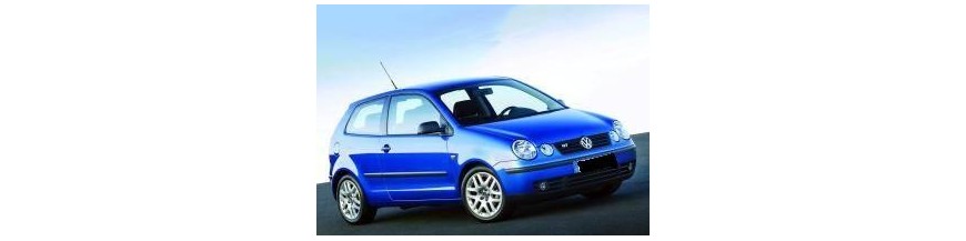 Polo del 2002